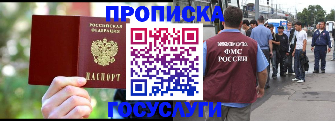 прописка поиск в Вельске